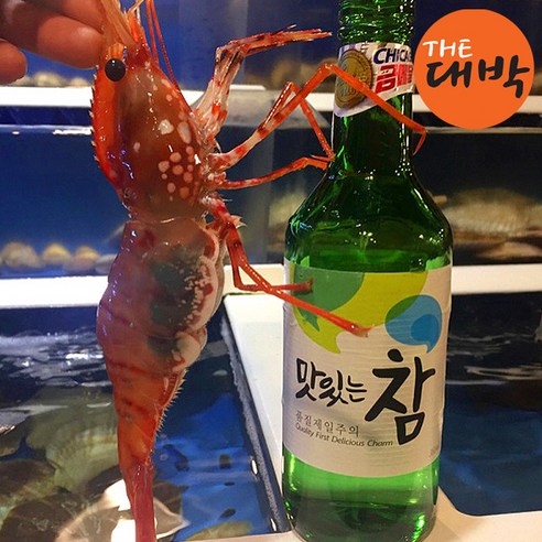 프리미엄 활 독도새우 (꽃새우/닭새우/도화새우), 1개