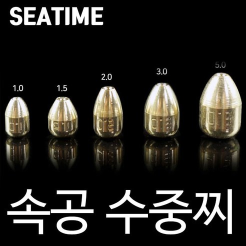 속공 수중찌 수중 찌 구멍추 속공찌 싱커, ., 쓸림방지속공찌1.0호