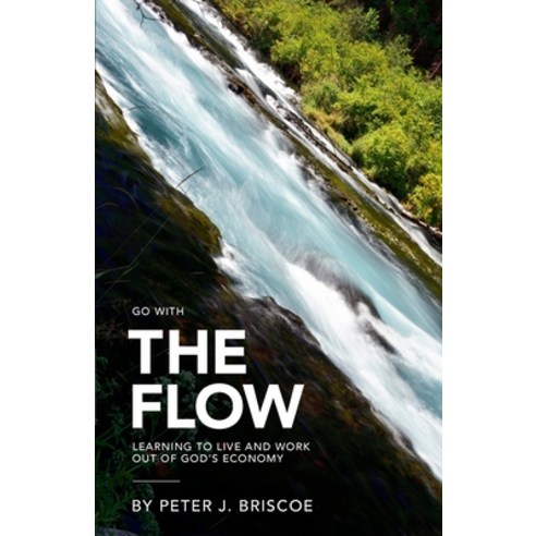 (영문도서) The Flow: Learning to live and work out of God''s Economy Paperback, Compass - Finances God''s Way, English, 9789082996999