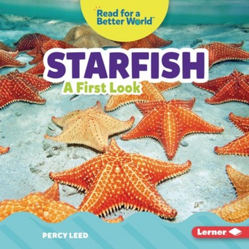(영문도서) Starfish: A First Look Library Binding, Lerner Publications (Tm), English, 9781728459158