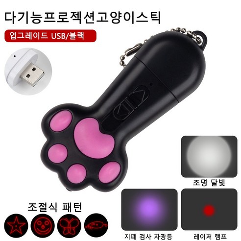남들이 모르는 신나는 놀이 시간을 위한 고양이 불빛 낚시 놀이 장난감