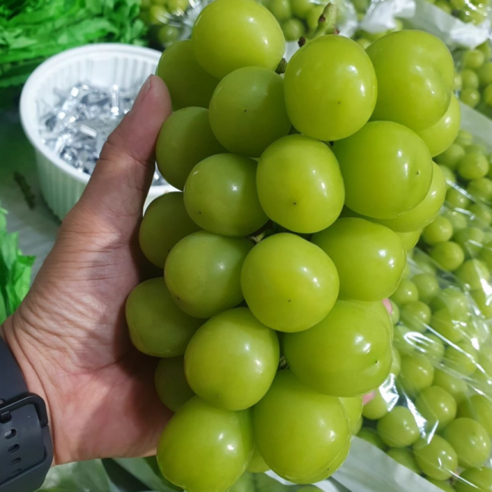 20Brix 샤인 머스켓 씨없는 포도 초고당도 망고포도 청포도, 1박스, 3kg 내외 (3-5수) 13 18brix 초고당도 선별 못난이 샤인머스켓, 1박스, 1kg