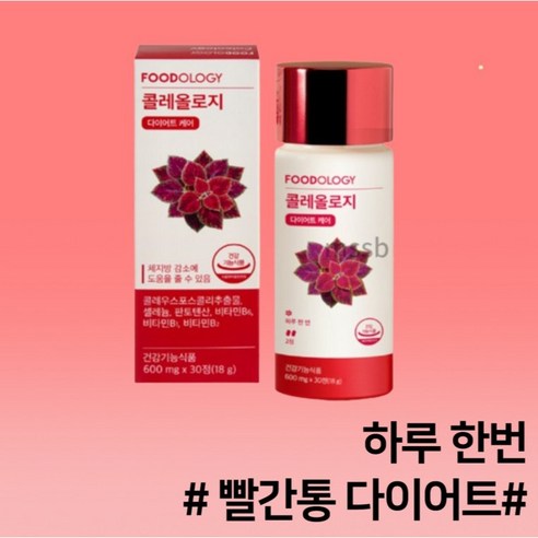 서현 빨간통 다이어트