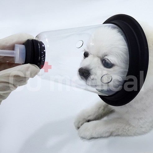 댕댕이의 편안한 숨, 산소발생기 렌탈로 되찾아주세요.