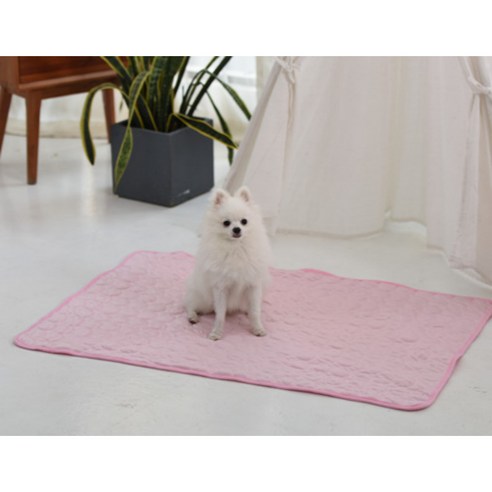 쿨매트를 통해 반려동물에게 여름철 시원함을 선사하세요