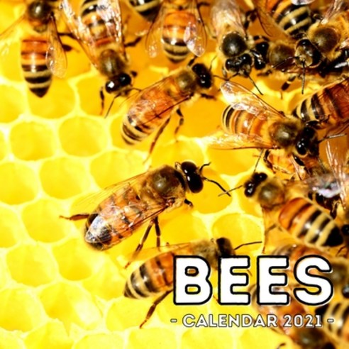 Bees Calendar 2021: 16-Month Calendar Cute Gift Idea For Bee Lovers Men ...