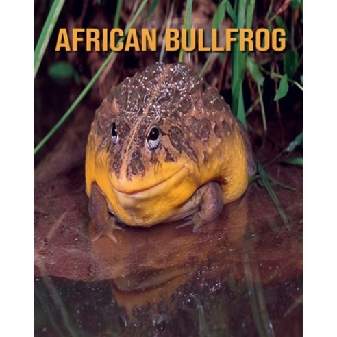 African Bullfrog: Fun Facts and Amazing Photos of Animals in Nature ...