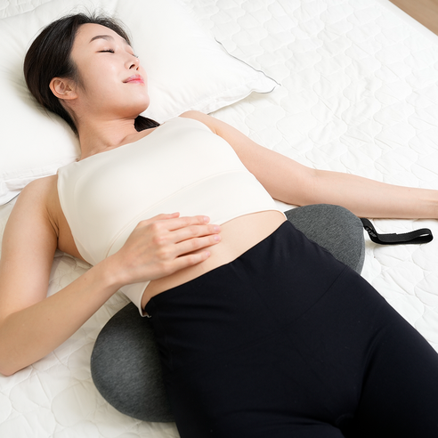 다학 허리베개 기능성 온열패드 디스크 요추 등받이 DHPL24, 허리베개 고급형, 1개, 허리베개 고급형