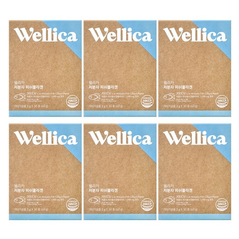 웰리카 저분자 피쉬 어린콜라겐 펩타이드 300달톤 이너뷰티, 6개, 60g