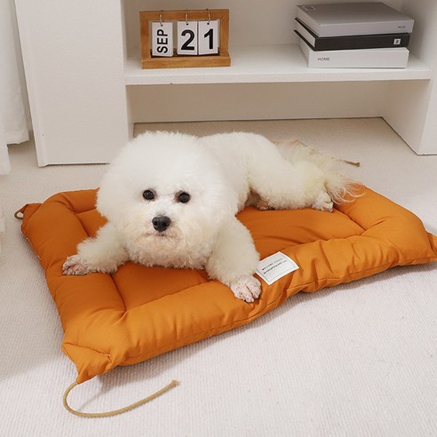 리빙공감 퍼피캣 강아지 고양이 방석 침대 쿠션, 다크오렌지, 1개