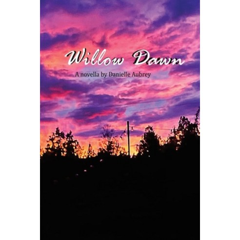 (영문도서) Willow Dawn Paperback, Danielle Martin, English, 9780578283579