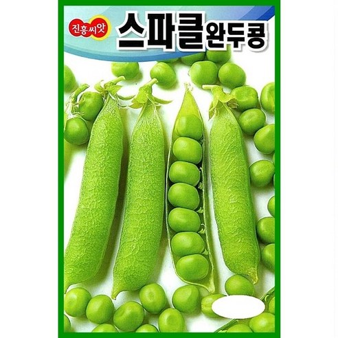 종자-완두콩 500g 씨앗 봄파종 스파클 씨 종자, 1개