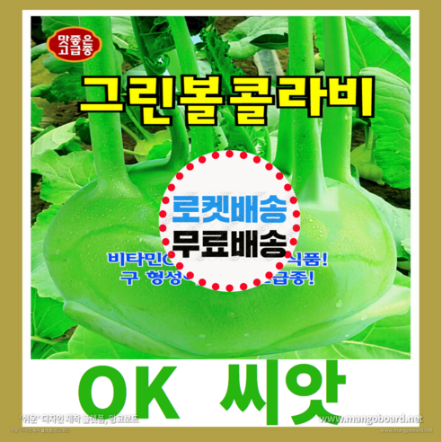 [OK씨앗] [KS그린볼콜라비] 콜라비씨앗 종자(오케이씨앗), 300립