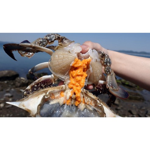 10초 만에 완성되는 황금비율 국산 할배꽃게간장으로 맛있는 밥상을!
