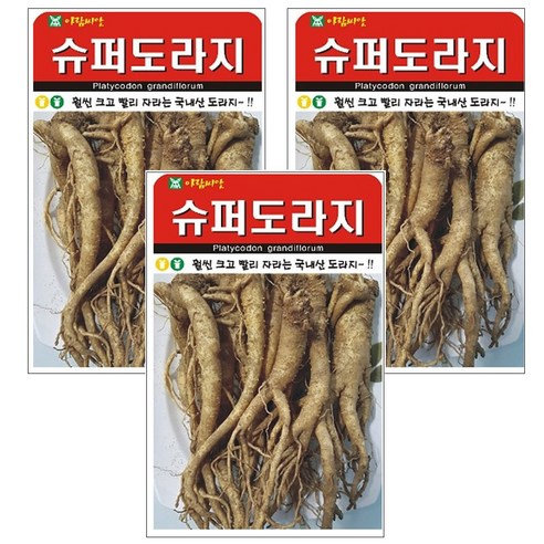 슈퍼도라지 씨앗 3개입, 1개