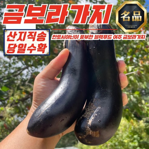 여주 축양 못난이 가지 (금보라가지) 3개입 (개당 150-180g)