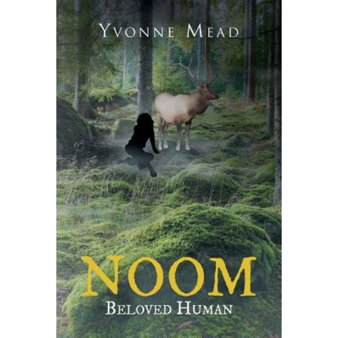 (영문도서) Noom: Beloved Human Paperback, Page Publishing, English, 9781643508627