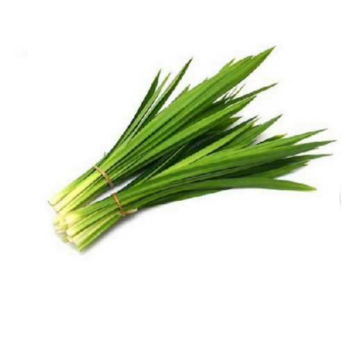 판다잎의 매력: 아시아 농장의 향긋한 선택 판단잎