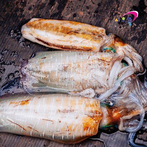 신선하고 맛있는 무늬오징어로 건강한 식탁 꾸리기