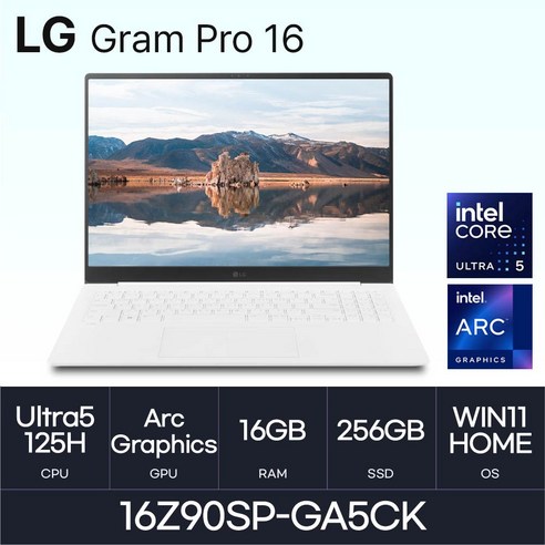 LG전자 그램 프로16 16Z90SP-GA5CK, WIN11 Home, 16GB, 256GB, 화이트