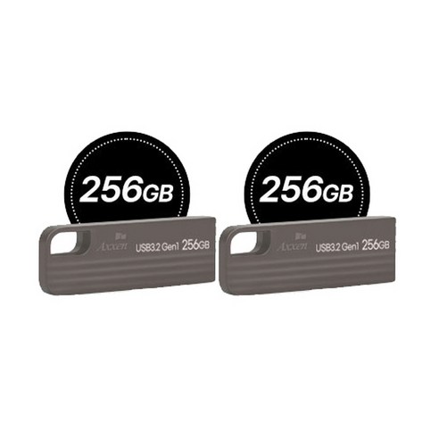 액센 U310 웨일 USB3.2 Gen1 180MB/s 2P 1세트, 256GB
