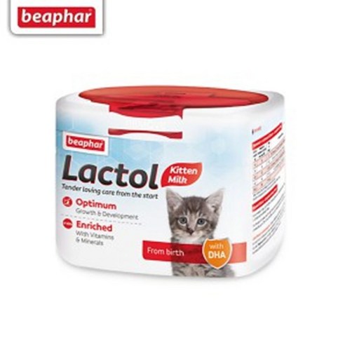 새끼 고양이 키튼 분유 젖병 세트 아기고양이 우유 초유 분말 이유식 밀크 파우더, 1개, 250g