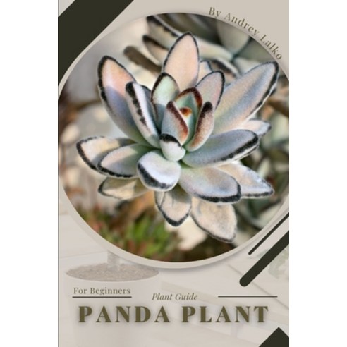 (영문도서) Panda Plant: Plant Guide Paperback, Independently Published, English, 9798391848080