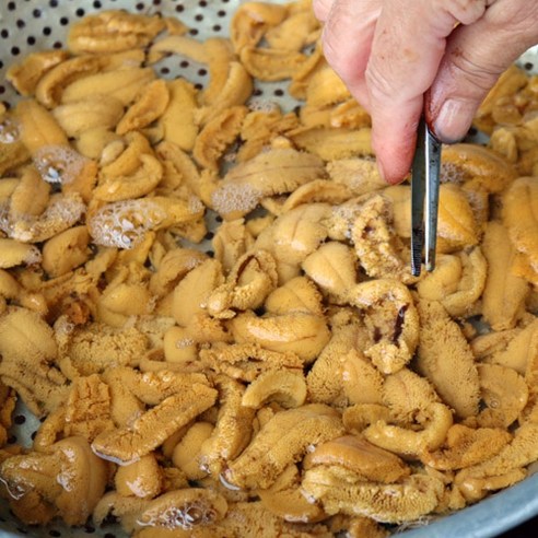 입안 가득 퍼지는 바다의 풍요로움, 삼정수산 자연산 성게 우니