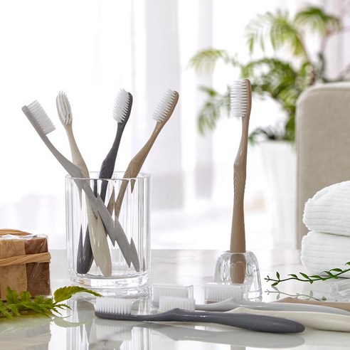 온 가족 구강 건강, 모던하우스 N 알뜰 패밀리 칫솔로 시작하세요 모던하우스칫솔