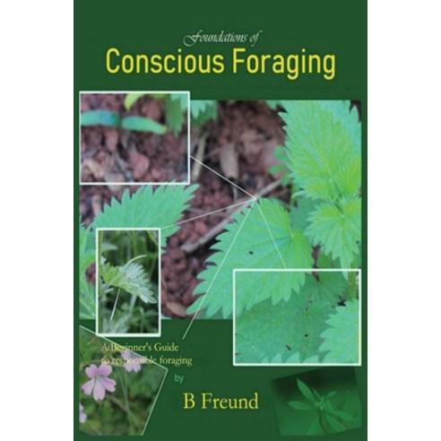 Foundations of Conscious Foraging Paperback, B Freund, English, 9781838173906
