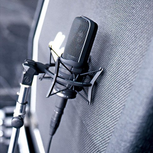 Audio-Technica AT4050: 섬세한 사운드로 당신의 음악적 영감을 현실로.