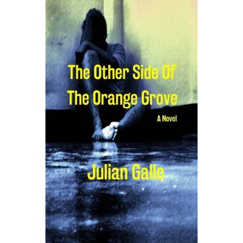 (영문도서) The Other Side Of The Orange Grove Paperback, Createspace Independent Pub..., English, 9781720643883