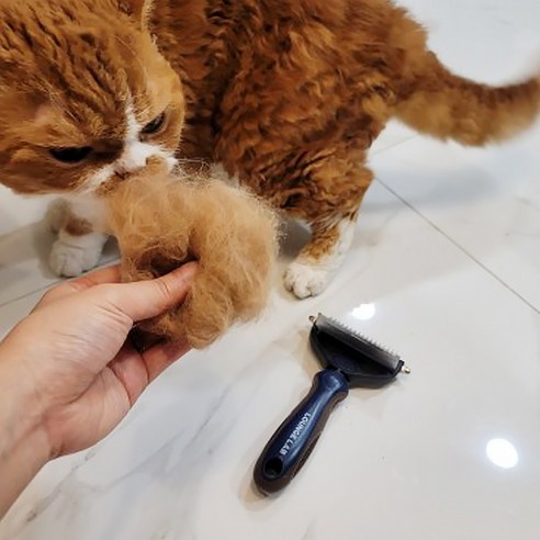 강아지 털갈이 빗 디디브러시 엉킨털 죽은털 제거 고양이, 디디브러시 S (9cm)