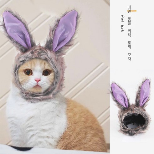 2022 국경 새 회색 토끼 애완 동물 모자 테디 드레스 재미있는 머리 장식 고양이 모자 고양이 모자 애완 동물 용품, 회색 토끼 모자, 평균 코드