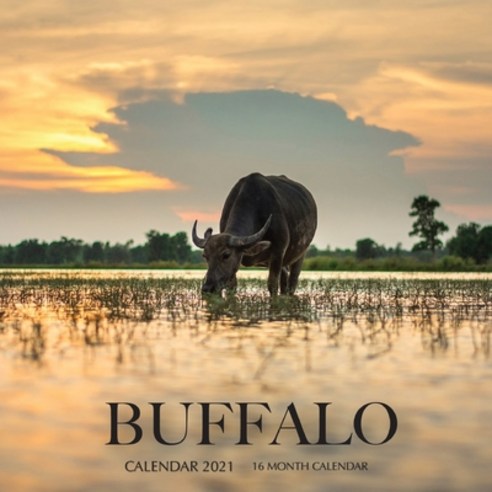 Buffalo Calendar 2021: 16 Month Calendar Paperback, Independently Published