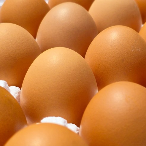 항생제 사용 없이 건강하고 영양가 있는 계란을 즐기세요.