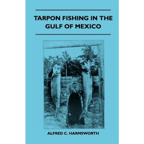(영문도서) Tarpon Fishing in the Gulf of Mexico Paperback, Read Country Books, English, 9781445524528