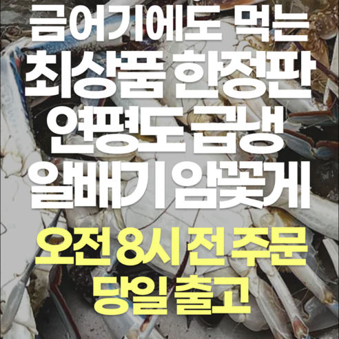 봄, 밥상에 꽃이 피었습니다! 연평도 알배기 암꽃게로 즐기는 미식의 향연