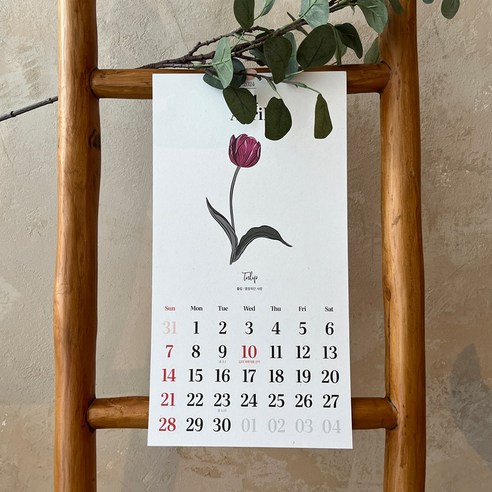 탄생화로 특별함을 더하는 2025년 뮤즈닷 달력