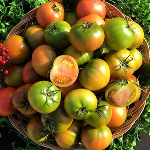 대저 오리지날 짭짤이 토마토 2.5kg, 대저 짭짤이 토마토 2.5kg 로얄과 S