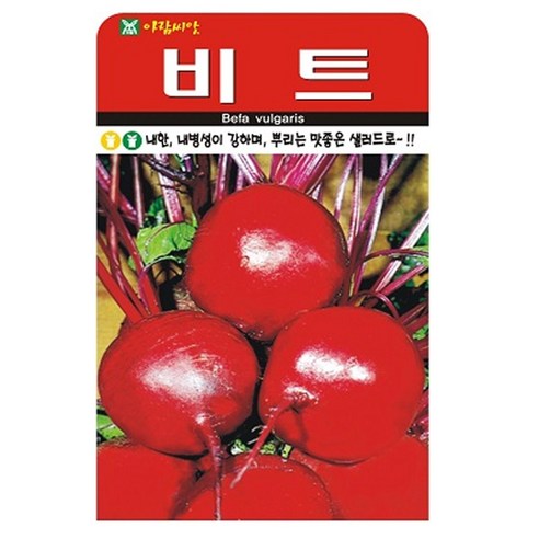비트 씨앗 씨 종자, 3개