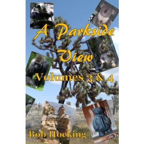 A Parkside View: Volumes 3 & 4 Paperback, Independently Published, English, 9798674215134