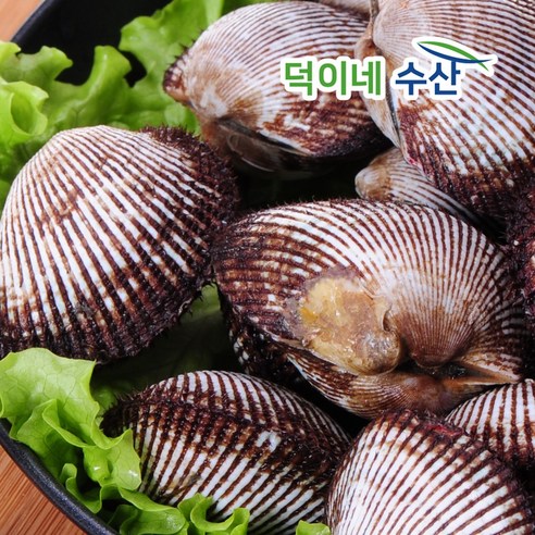 신선도와 품질이 뛰어난 피조개, 합리적인 가격에 만나보세요.