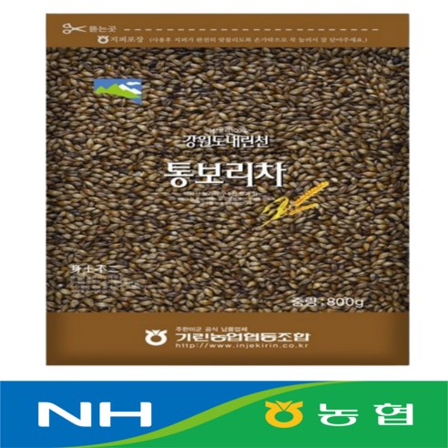 농협 통보리차 강원도 인제 신선도보장 최신상품, 1세트, 1개입, 800g