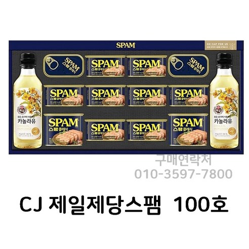 CJ제일제당 스팸 복합 100호 선물세트 / 쇼핑백포함, 1세트