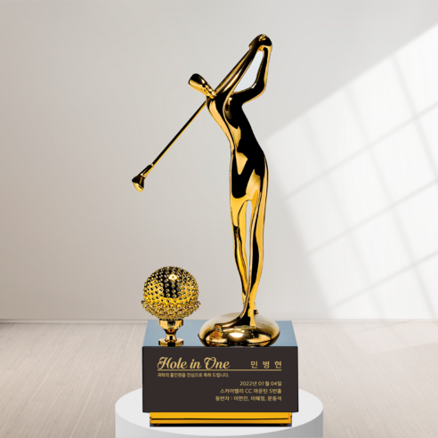 영예로운 순간을 영원히 간직하다: 상패타운 이글패 싱글패 HT 501 골프 트로피 홀인원트로피