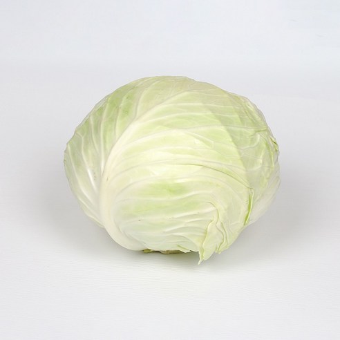 아삭한 국내산 양배추, 1개, 1.5kg