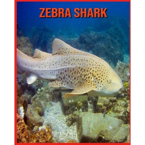 Zebra Shark: Children Book of Fun Facts & Amazing Photos Paperback, Independently Published, English, 9798707355875