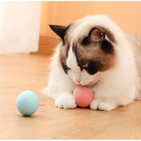 스마트 캣볼 셀프 무빙 고양이 장난감 반려묘와의 특별한 시간을 즐기다