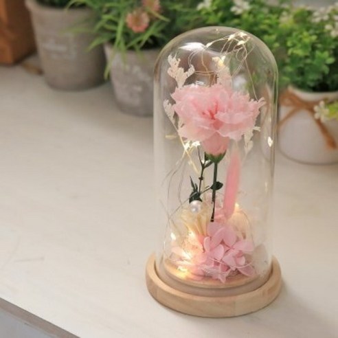 프리저브드 카네이션의 영원한 아름다움과 LED 조명의 평온한 빛이 어우러진 고요한 명작